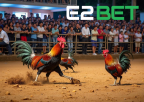 Hướng dẫn cá cược đá gà tại sảnh Digmaan