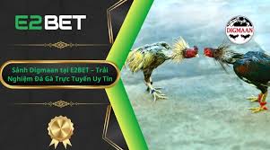 Sảnh Digmaan TẠI E2BET
