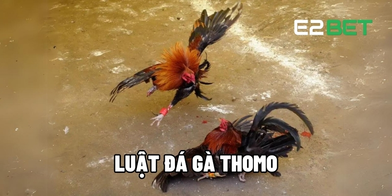 Luật Đá Gà Thomo – Hướng Dẫn Cược Để Thắng Lớn Mỗi Ngày Cùng E2BET