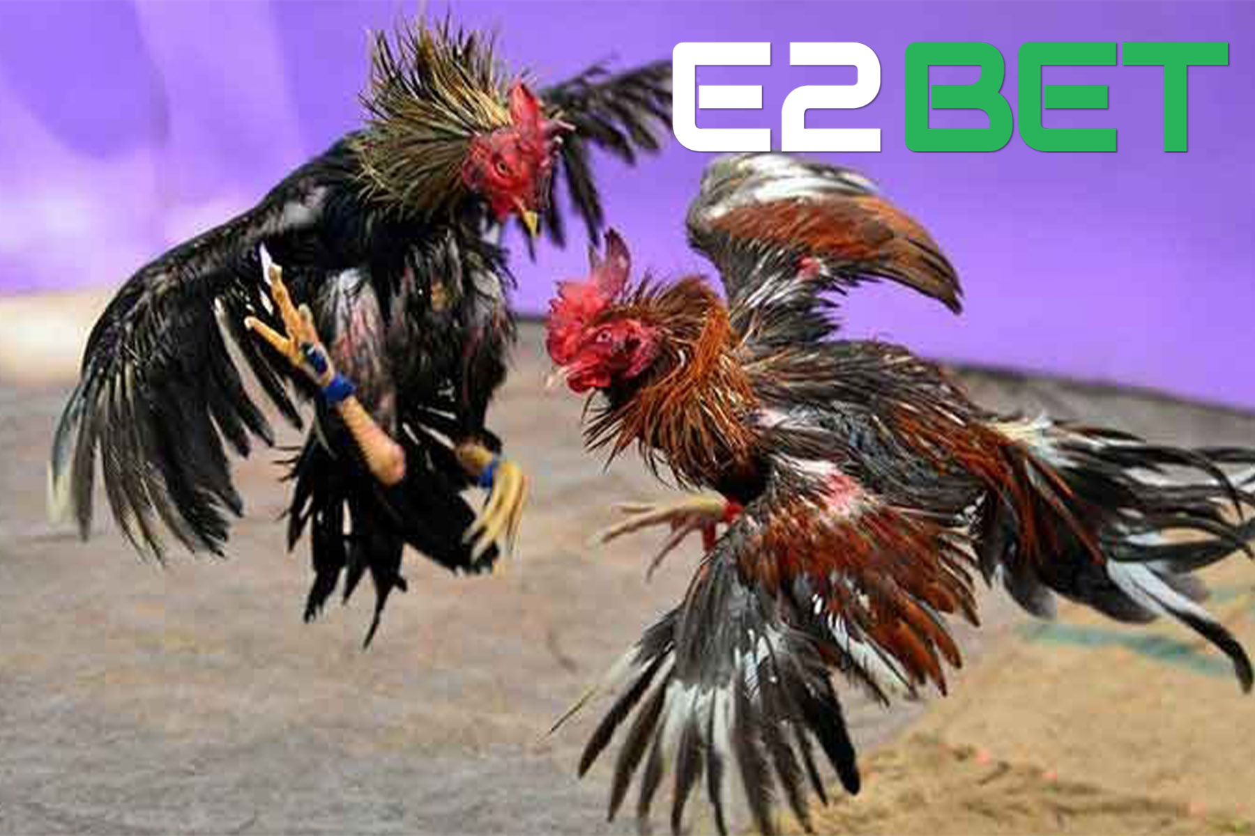 Trải nghiệm mượt mà, giao diện rõ ràng