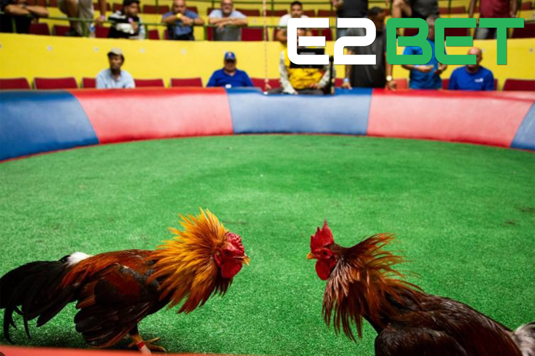 Tổng quan về Live đá gà tại E2BET